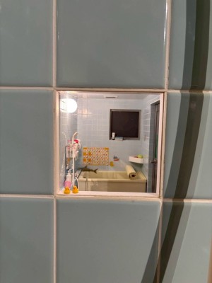 image1 (3)